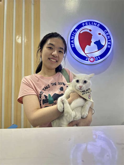 Manila Feline Center (@manilafelinecenter) .
